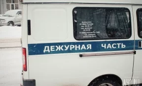 Полицейские Новокузнецка проводят проверку по факту избиения школьницы 
