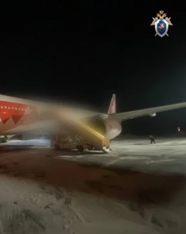 Летевший на Шри-Ланку самолёт вернулся в аэропорт Новосибирска из-за неполадки