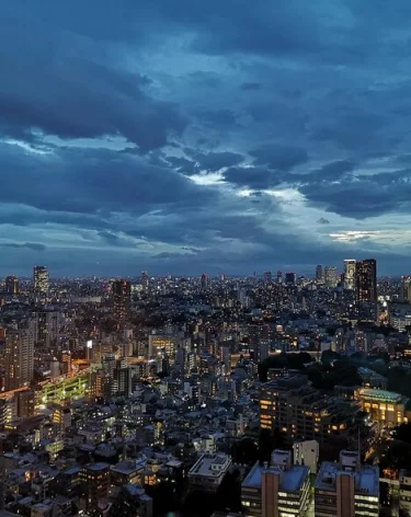 Посольство Японии собирается открыть в России визовые центры в 2026 году