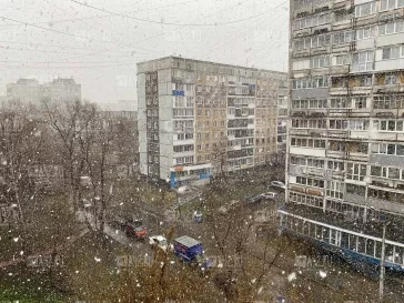 Фото: Февраль в апреле: Кемерово и Новокузнецк засыпало снегом 3