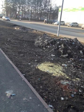 Фото: Кемеровчан возмутило бездействие коммунальщиков в уборке одной из улиц на Радуге 4