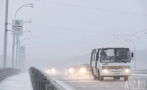 В Кемерове 14 детей попали в больницу за сутки из-за гололёда