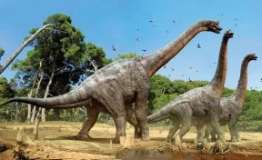 Учёные обнаружили в Африке новый вид динозавров