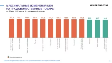 Фото: Кемеровостат: в Кузбассе за неделю огурцы подешевели на 8%, лук подорожал на 5% 2