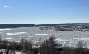 В Томской области начался паводок, подтоплены семь огородов