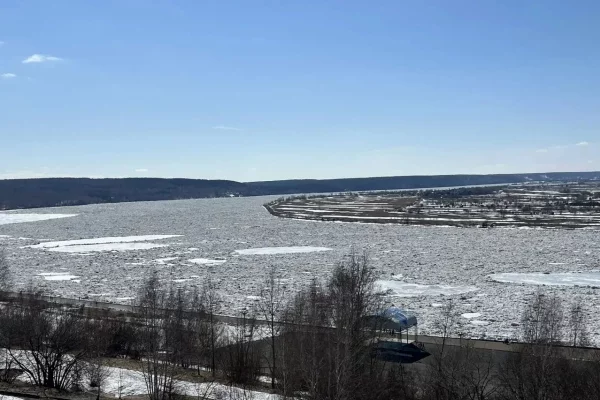 В Томской области начался паводок, подтоплены семь огородов