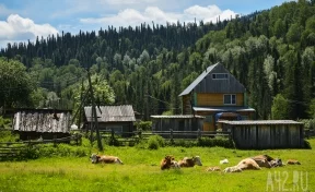 В Кузбассе исчезли 14 населённых пунктов