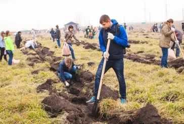 Фото: В Новокузнецке посадят 20 000 саженцев кедра 3
