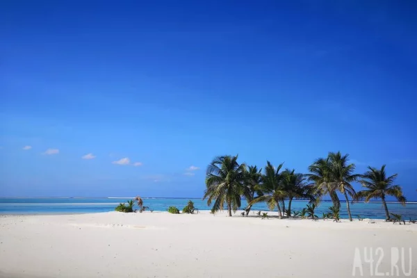 Юрист: самым невыгодным месяцем для отпуска в 2026 году будет май