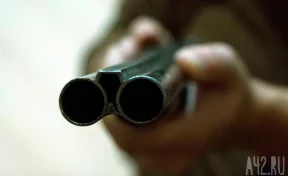 Кузбассовец заплатит более 1 млн рублей за убийство лося, медведя и косули