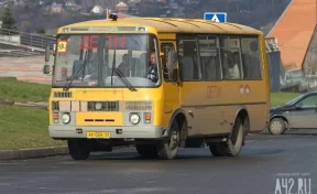 Десять детей получили травмы в ДТП со школьным автобусом в Тыве 