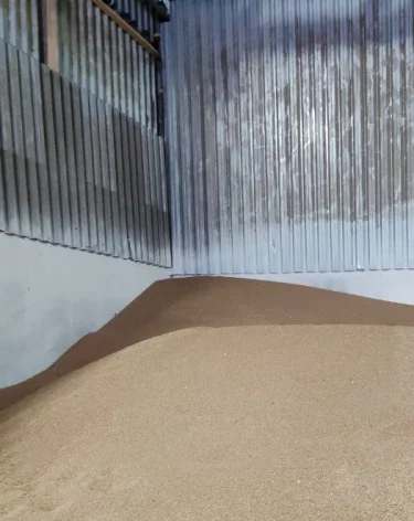 С начала января из Кузбасса экспортировали 210 тонн пшеницы и 840 тонн ржи