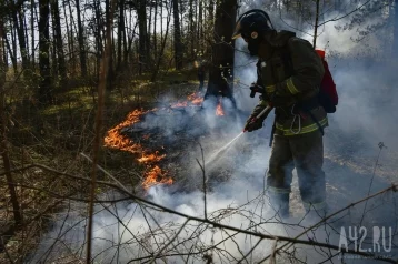 Фото: В Сосновом бору в Кемерове будут дежурить пожарные 1