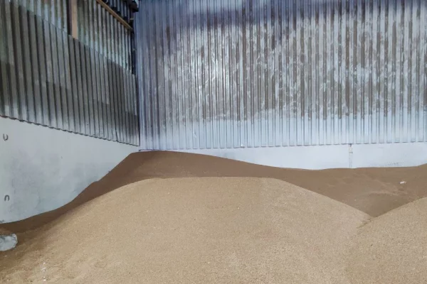 С начала января из Кузбасса экспортировали 210 тонн пшеницы и 840 тонн ржи