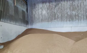 С начала января из Кузбасса экспортировали 210 тонн пшеницы и 840 тонн ржи