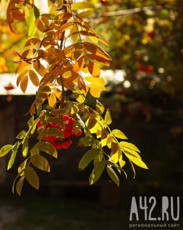 Фото: A42.RU