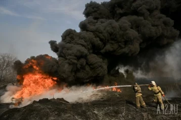 Фото: В Кузбассе потушили масштабный пожар на мусорном полигоне. Площадь возгорания составила 350 кв.м 1