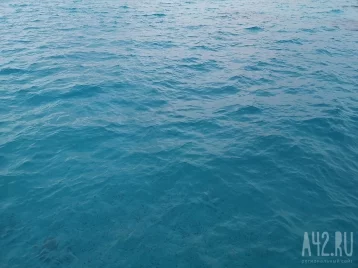 Фото: Австралийский спасатель рассказал, что спасло жизнь атакованной акулами экспедиции с россиянами 1
