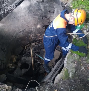 Фото: В Мариинске спасатели достали собаку из глубокой ямы 1