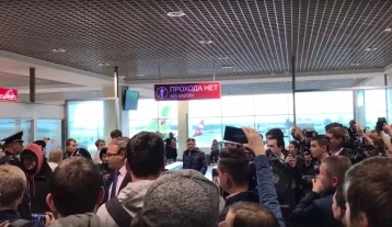 Фото: Несколько десятков человек встретили Nemagia в аэропорту Домодедово 1