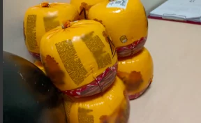 Кемеровчанин пытался вынести из магазина 9 килограммов сыра