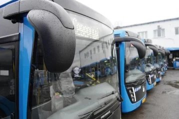 Фото: Кемерово получил 25 новых экологичных автобусов 1