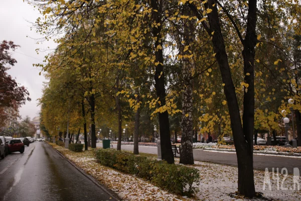 Синоптики рассказали, когда кузбассовцам ждать снега