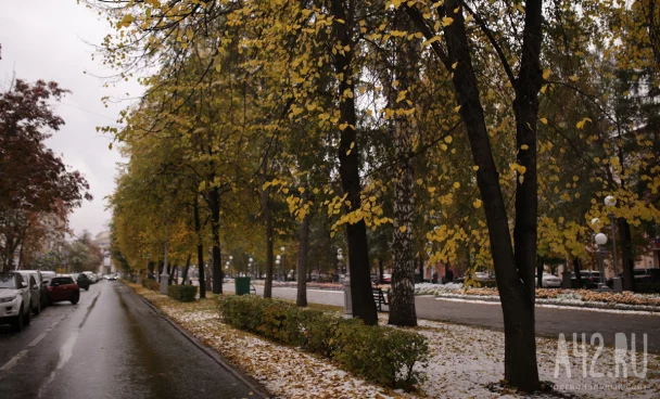 Синоптики рассказали, когда кузбассовцам ждать снега