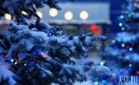 Старую новогоднюю ель с кемеровской площади Советов установили в пгт Промышленная