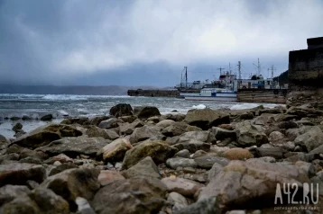 Фото: Опасные для Байкала водоросли заняли 60% побережья 1