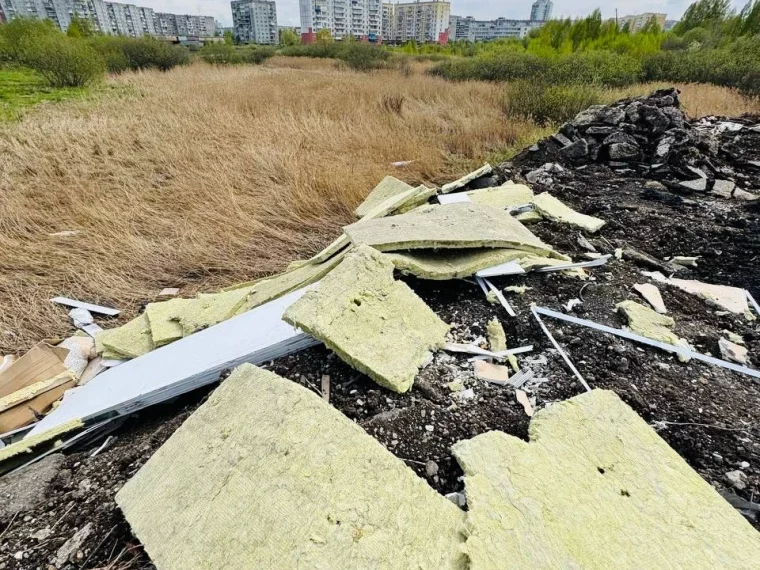 Фото: Вываливал мусор за гаражами: власти Новокузнецка рассказали о нарушителе чистоты 5