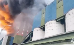 В Мурманской области на промышленном предприятии произошёл крупный пожар 