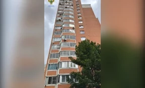 По факту поножовщины на юго-западе Москвы возбуждено уголовное дело
