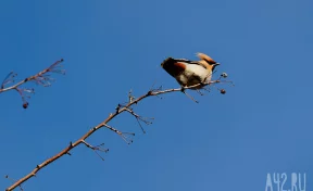 Иларионов день: приметы на 3 ноября