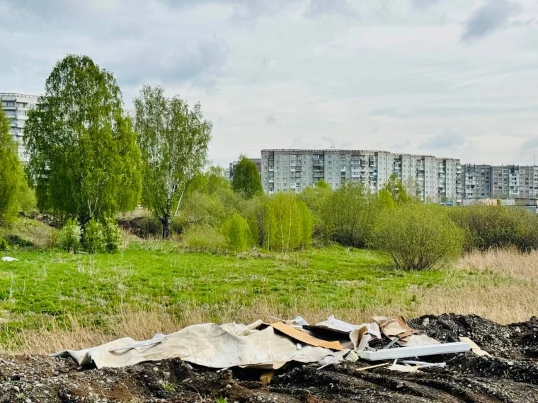 Фото: Вываливал мусор за гаражами: власти Новокузнецка рассказали о нарушителе чистоты 7