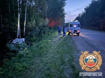 Фото: В Башкирии в ДТП с лосем погибли ребёнок и взрослый 1