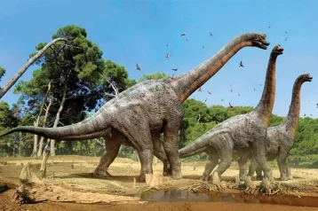 Фото: Учёные обнаружили в Африке новый вид динозавров 1