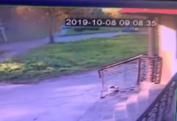 Фото: В Кузбассе убийство попало на видео 3