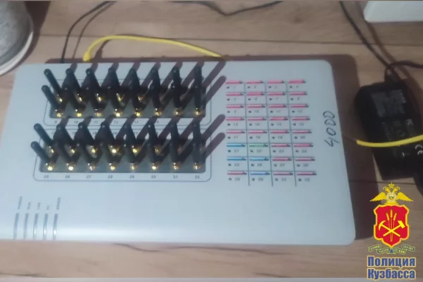 Жительница Подмосковья организовала узел связи для мошенников в Кузбассе