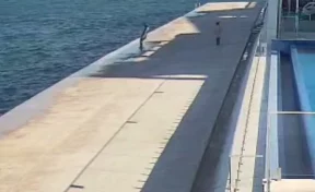 В Севастополе прохожие спасли упавшего в море подростка