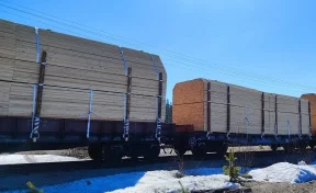 Кемеровская таможня выявила контрабанду древесины на 3,6 млн рублей