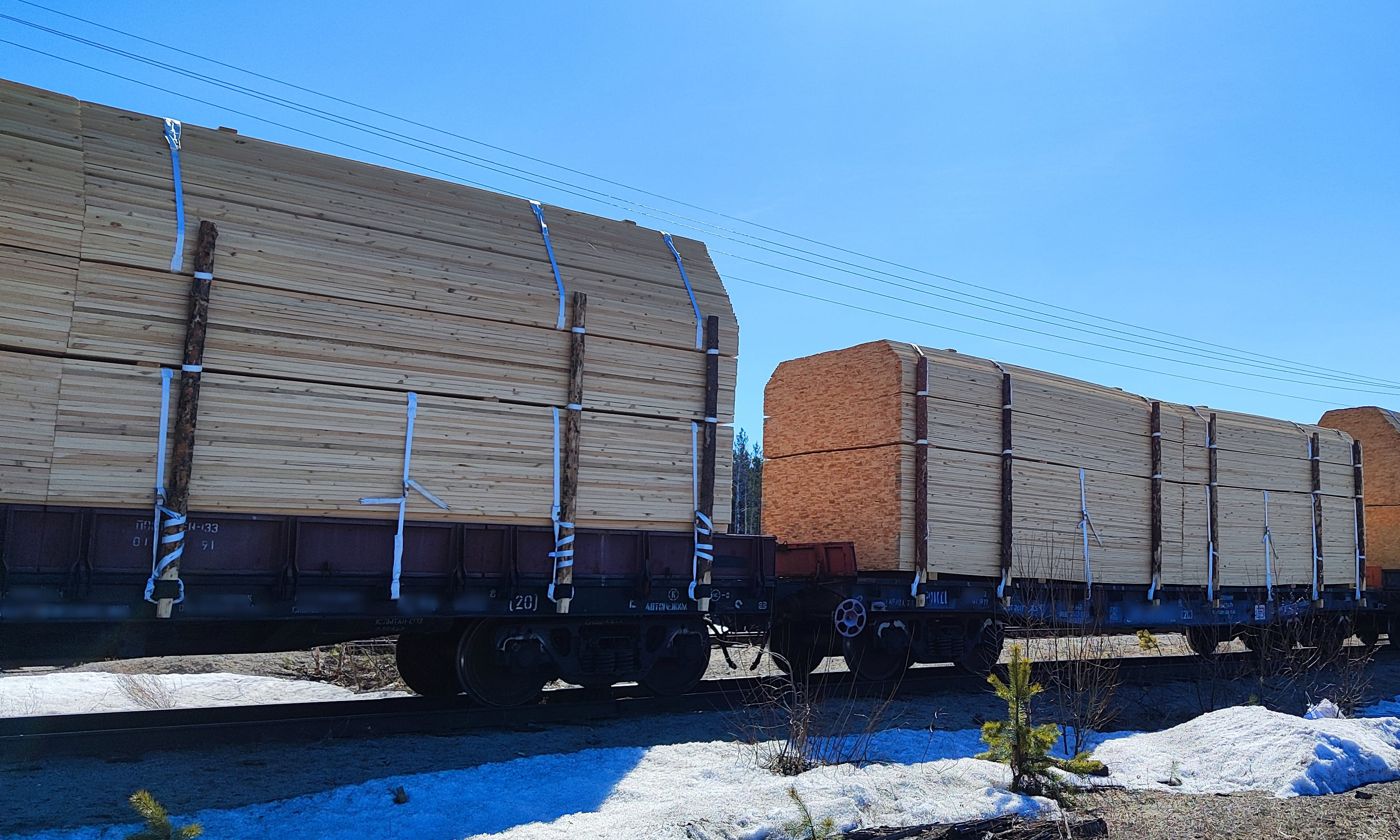 Кемеровская таможня выявила контрабанду древесины на 3,6 млн рублей
