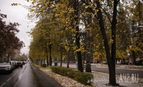 Синоптики рассказали, когда кузбассовцам ждать снега