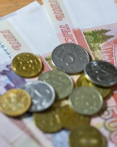 В Кузбассе льготы для многодетных смогут получать только семьи с низким доходом