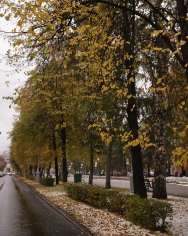 Синоптики рассказали, когда кузбассовцам ждать снега