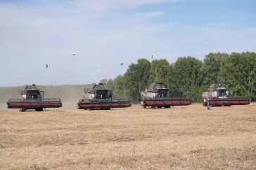 Фото: Губернатор Кузбасса проверил ход уборочной кампании 2