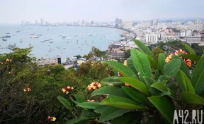 В Таиланде погиб российский турист, сорвавшись со скалы