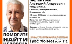 В Кузбассе в садовом товариществе пропал 72-летний мужчина