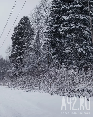 День памяти Александра Невского: народные приметы на 6 декабря