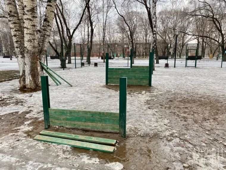 Фото: Развалины и грязь. Как мы обходили площадки для выгула собак в Кемерове и Новокузнецке 68